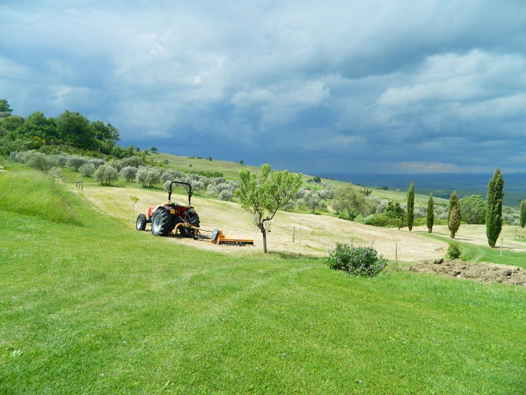 Вилла Le Rogheta Campiglia d'Orcia Экстерьер фото