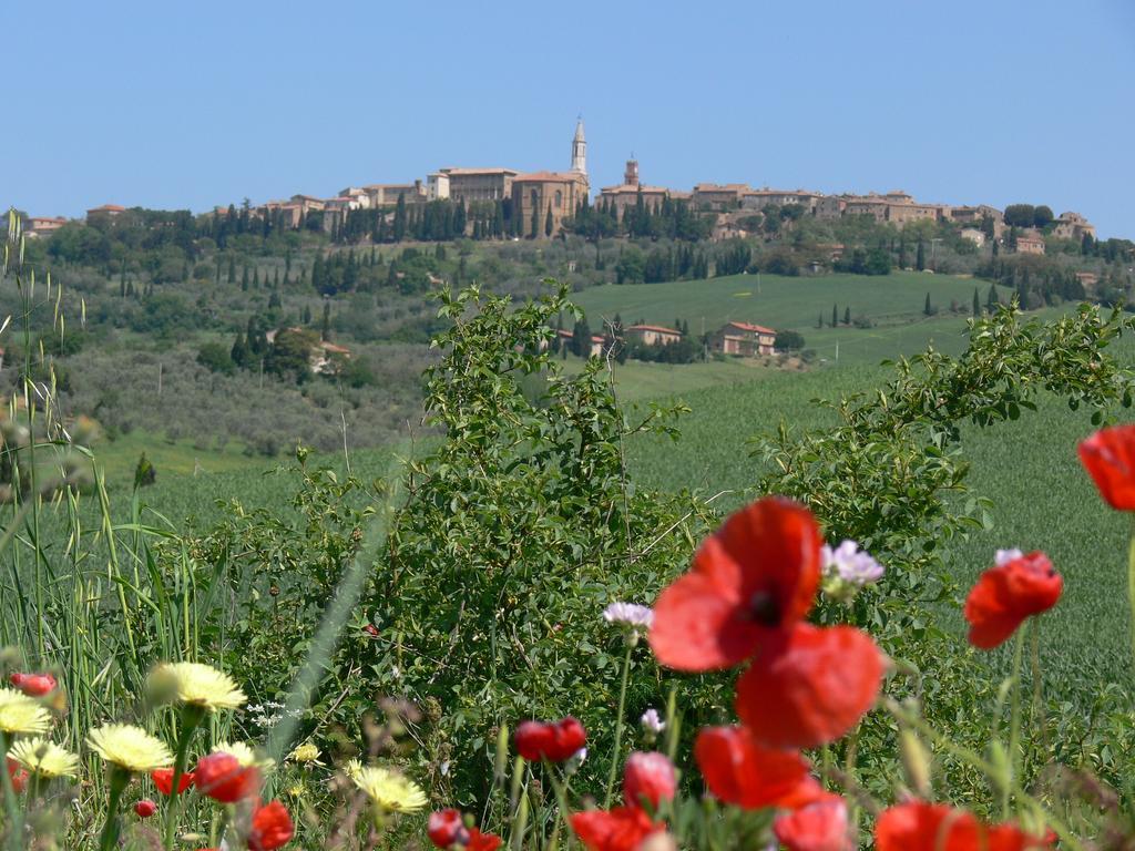 Вилла Le Rogheta Campiglia d'Orcia Экстерьер фото