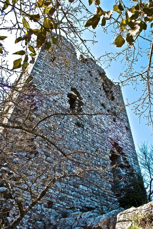 Вилла Le Rogheta Campiglia d'Orcia Экстерьер фото