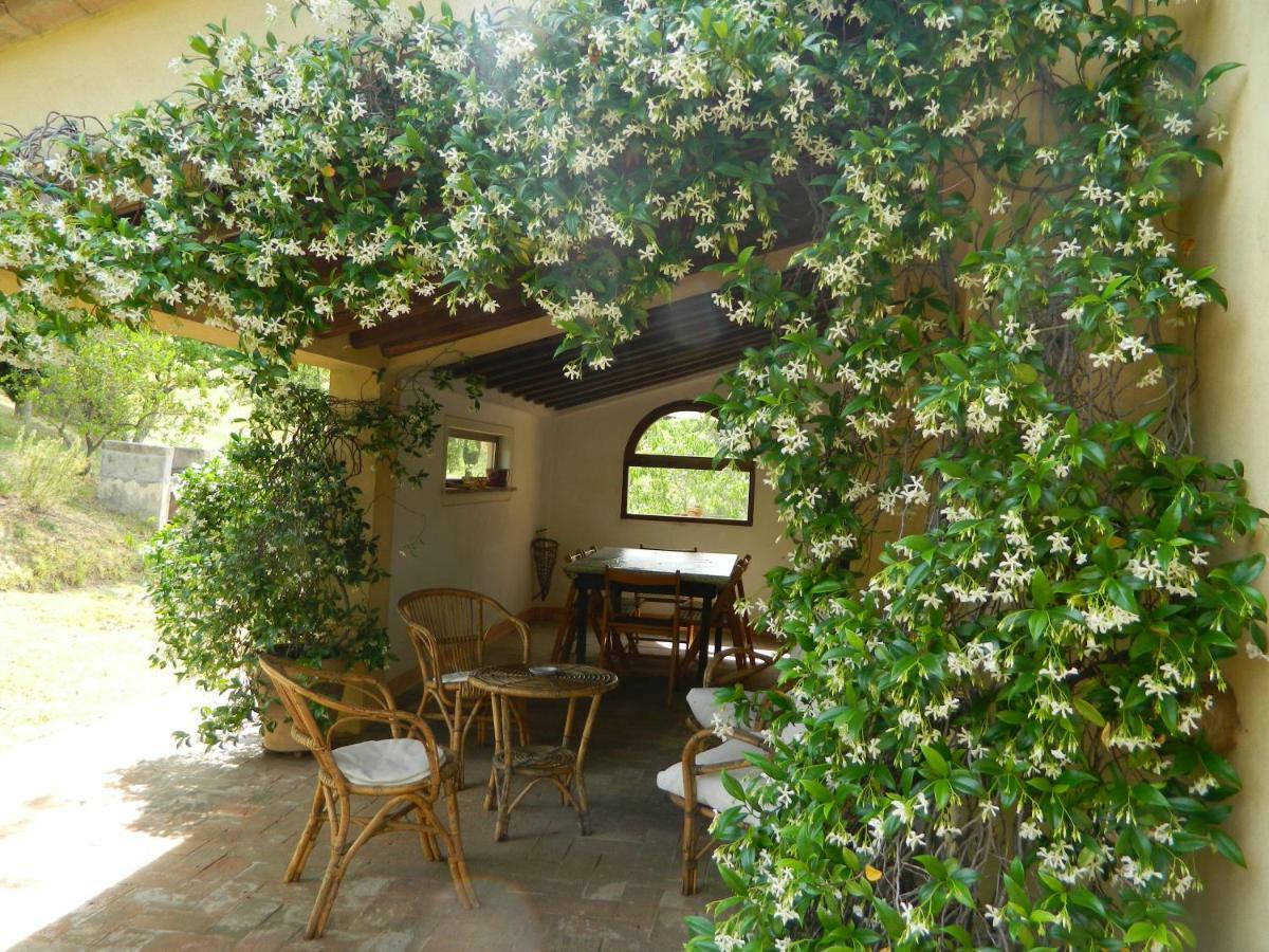 Вилла Le Rogheta Campiglia d'Orcia Экстерьер фото